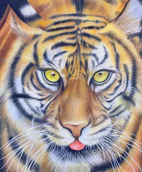 老虎的话怎么画彩铅 画虎的步骤？