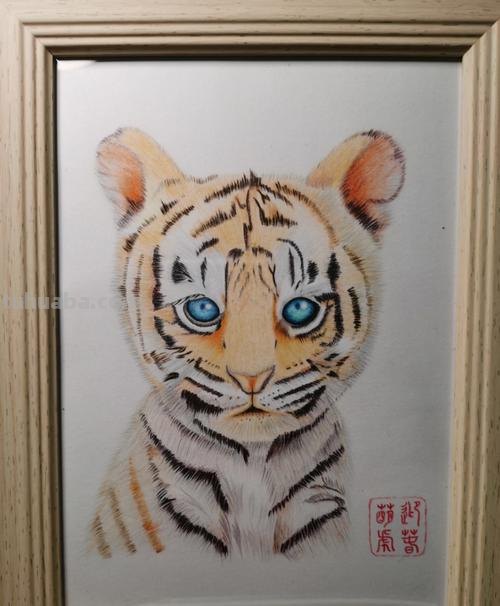 老虎的话怎么画彩铅 画虎的步骤？