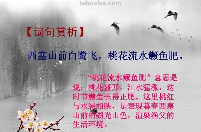 渔歌子的诗意 渔歌子的诗意和译文