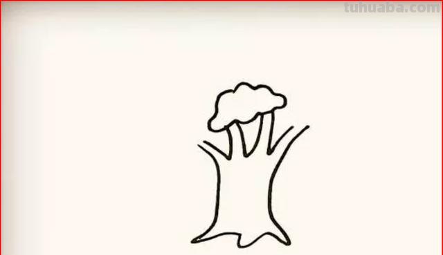 大树的简笔画怎么画 大树的简笔画怎么画？
