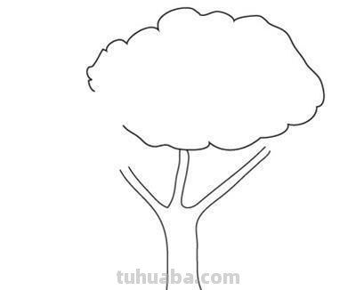 大树的简笔画怎么画 大树的简笔画怎么画？