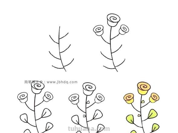 怎么画花朵简笔画步骤 简笔花朵的画法?