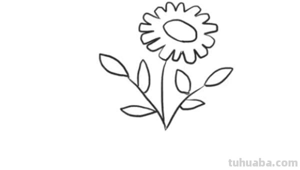 怎么画花朵简笔画步骤 简笔花朵的画法？