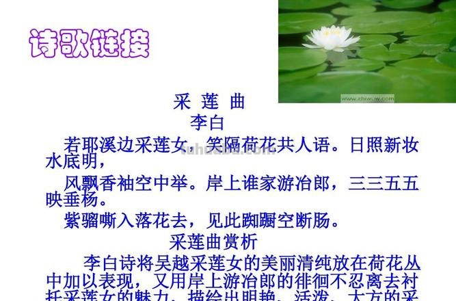 采莲曲的诗意 古诗采莲曲的诗意