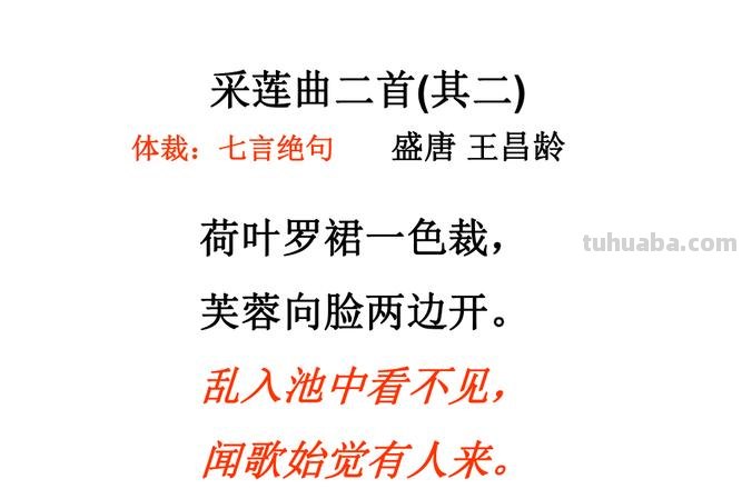 采莲曲的诗意 古诗采莲曲的诗意