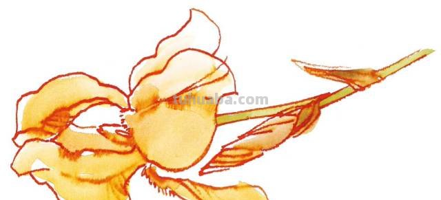 水彩绘画中会用到的各种各样的笔,你真的会用画笔么？