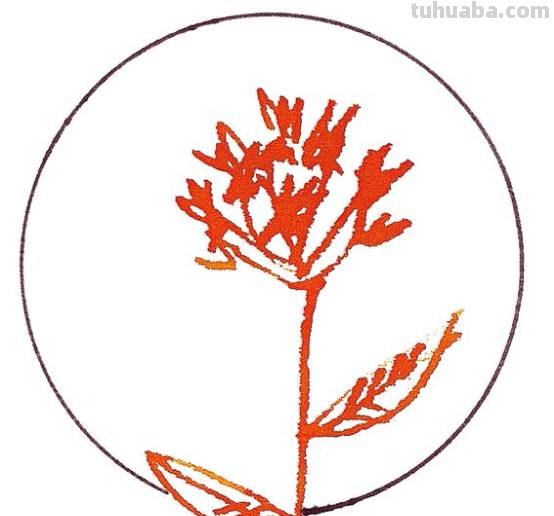 水彩绘画中会用到的各种各样的笔,你真的会用画笔么？