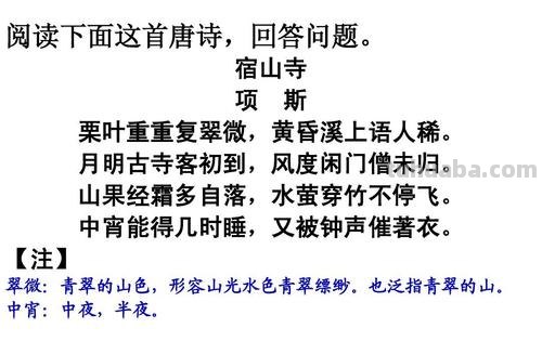 宿山寺的诗意 宿山寺的诗意是什么越简单越好