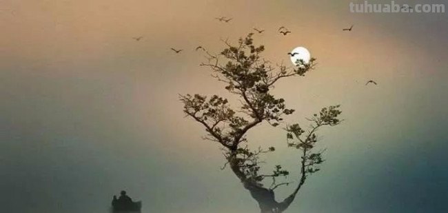 夜宿山寺这首诗什么意思