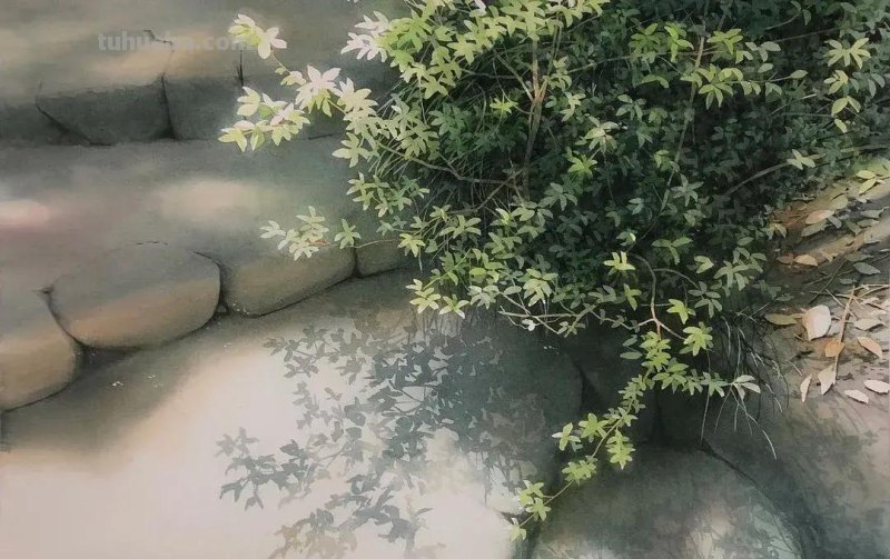 第一次见到这么夏天的水彩！仿佛闻到了超清新的青草芳香，好治愈