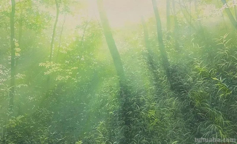 第一次见到这么夏天的水彩！仿佛闻到了超清新的青草芳香，好治愈
