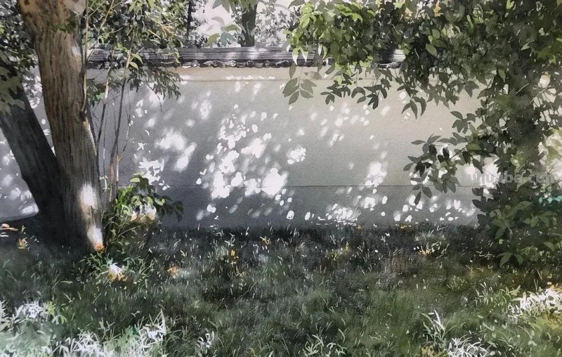 第一次见到这么夏天的水彩！仿佛闻到了超清新的青草芳香，好治愈