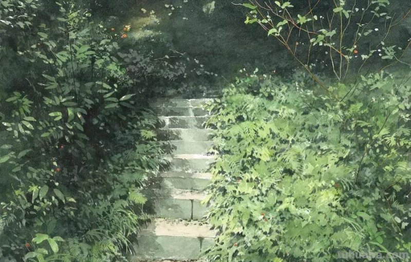第一次见到这么夏天的水彩！仿佛闻到了超清新的青草芳香，好治愈