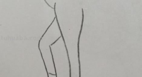 简笔画的马怎么画 用简笔画怎样画马？