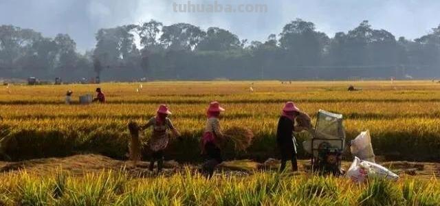 《山居秋暝》的诗意是什么 《山居秋暝》的诗意是什么