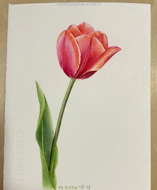 彩铅画有什么作用 彩铅手绘，好处？