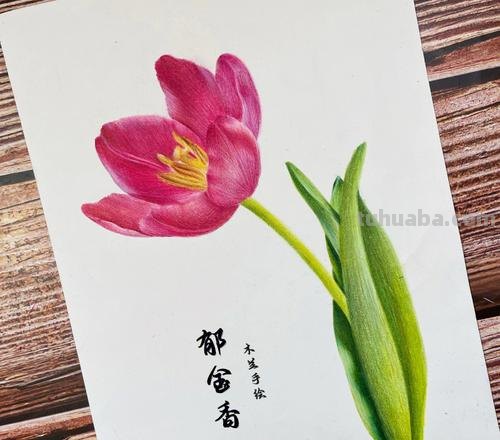 彩铅画有什么作用 彩铅手绘，好处？