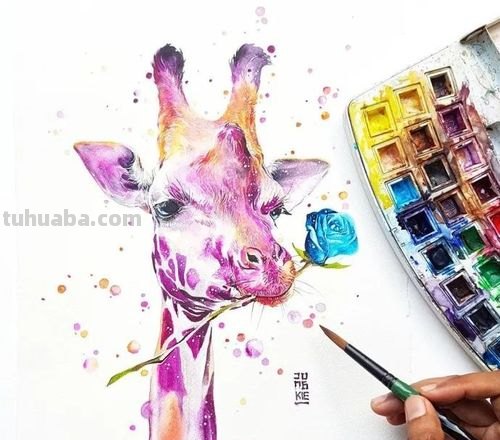 繁复美丽的几何图案,与水彩动物插画结合,神秘又精致的插画作品