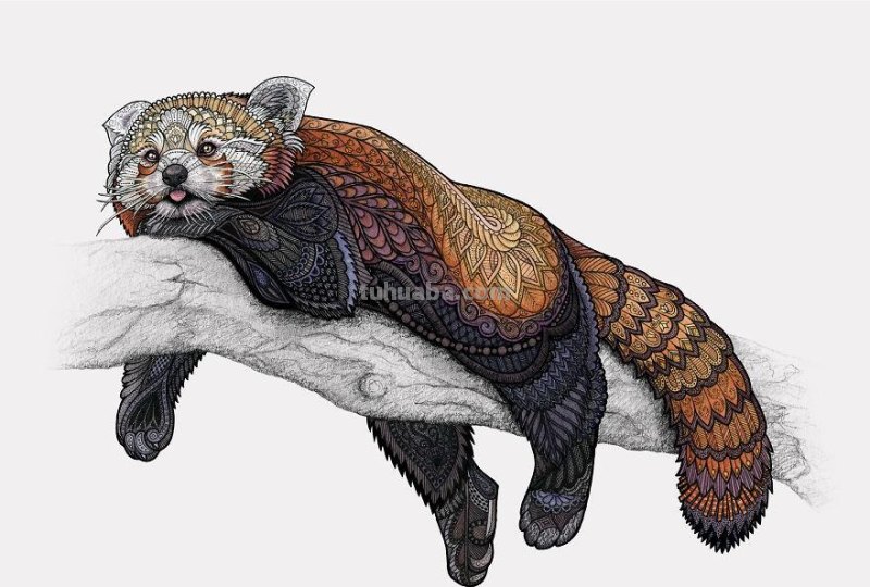 繁复美丽的几何图案，与水彩动物插画结合，神秘又精致的插画作品