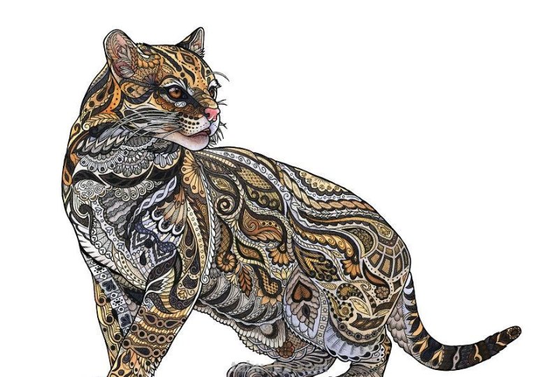 繁复美丽的几何图案，与水彩动物插画结合，神秘又精致的插画作品