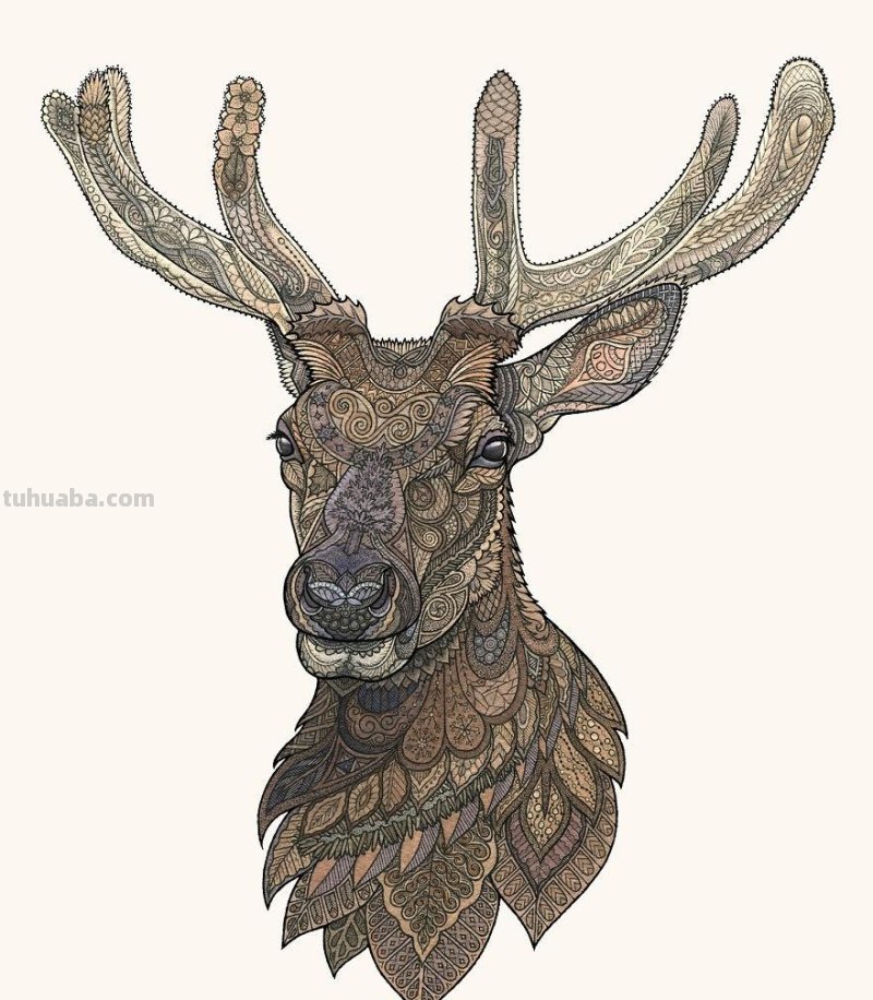 繁复美丽的几何图案，与水彩动物插画结合，神秘又精致的插画作品