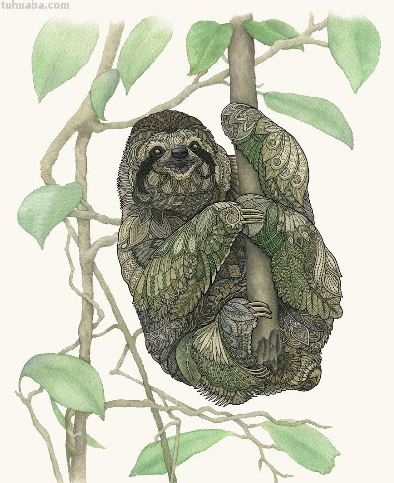 繁复美丽的几何图案，与水彩动物插画结合，神秘又精致的插画作品