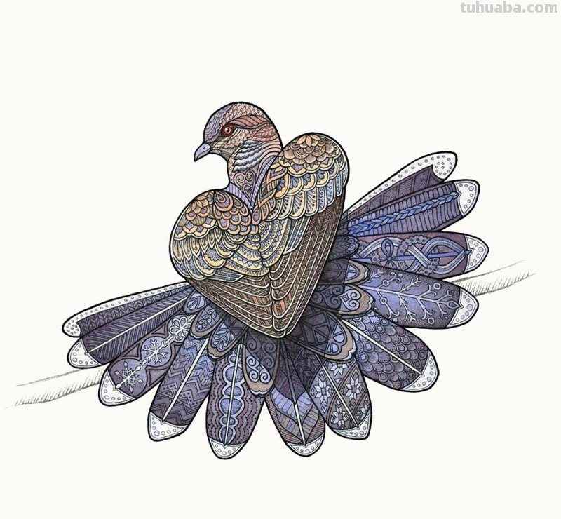 繁复美丽的几何图案，与水彩动物插画结合，神秘又精致的插画作品