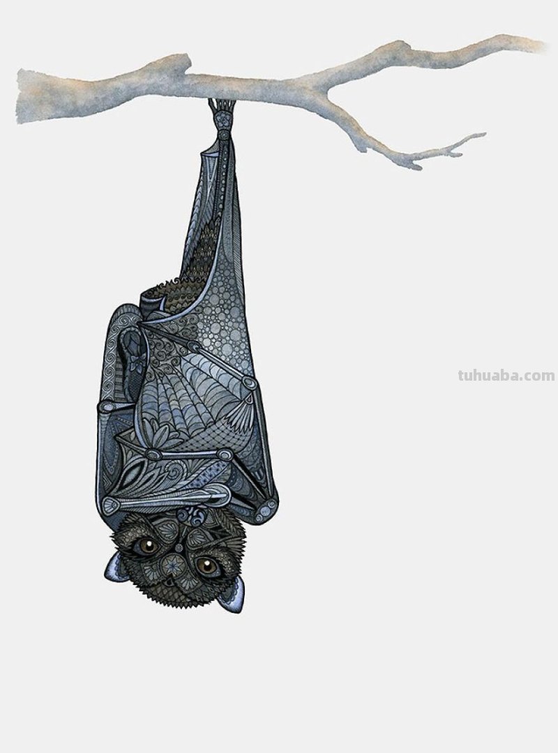 繁复美丽的几何图案，与水彩动物插画结合，神秘又精致的插画作品