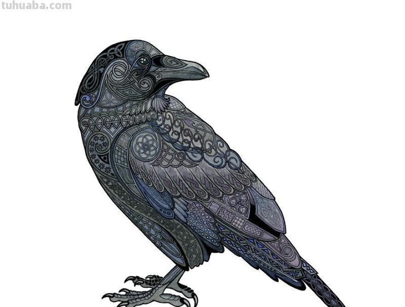 繁复美丽的几何图案，与水彩动物插画结合，神秘又精致的插画作品