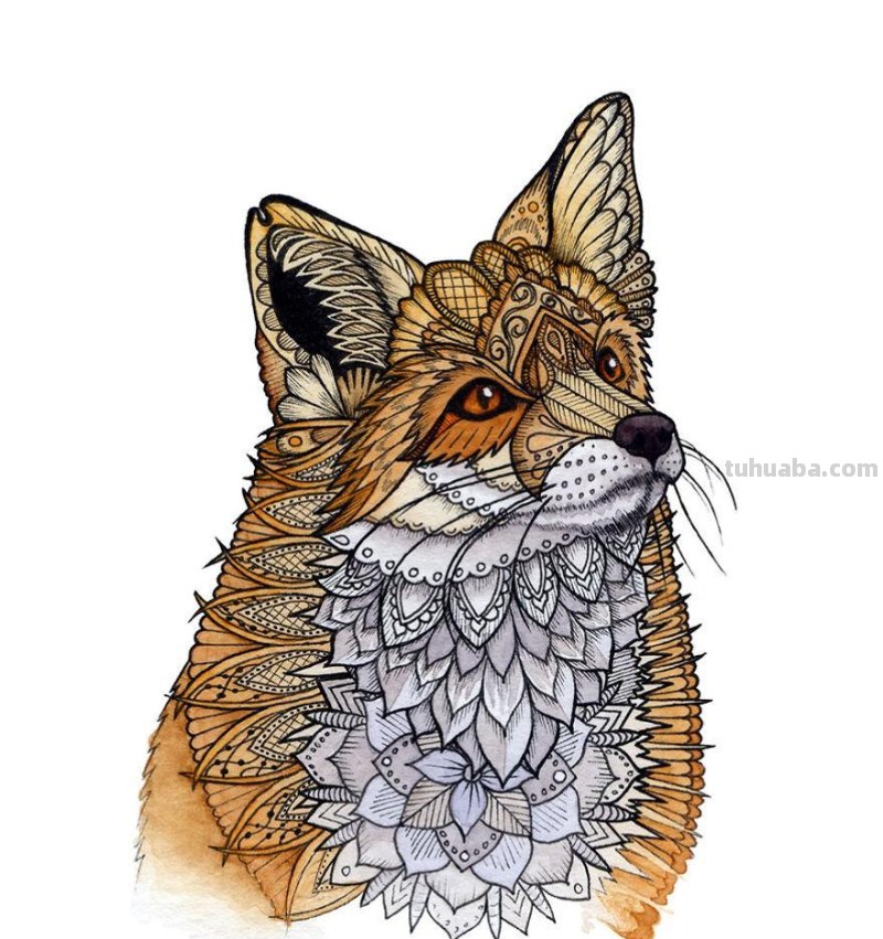 繁复美丽的几何图案，与水彩动物插画结合，神秘又精致的插画作品
