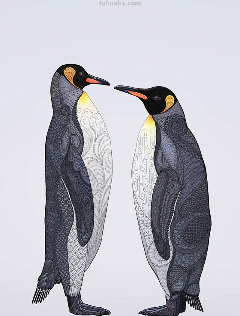 繁复美丽的几何图案，与水彩动物插画结合，神秘又精致的插画作品
