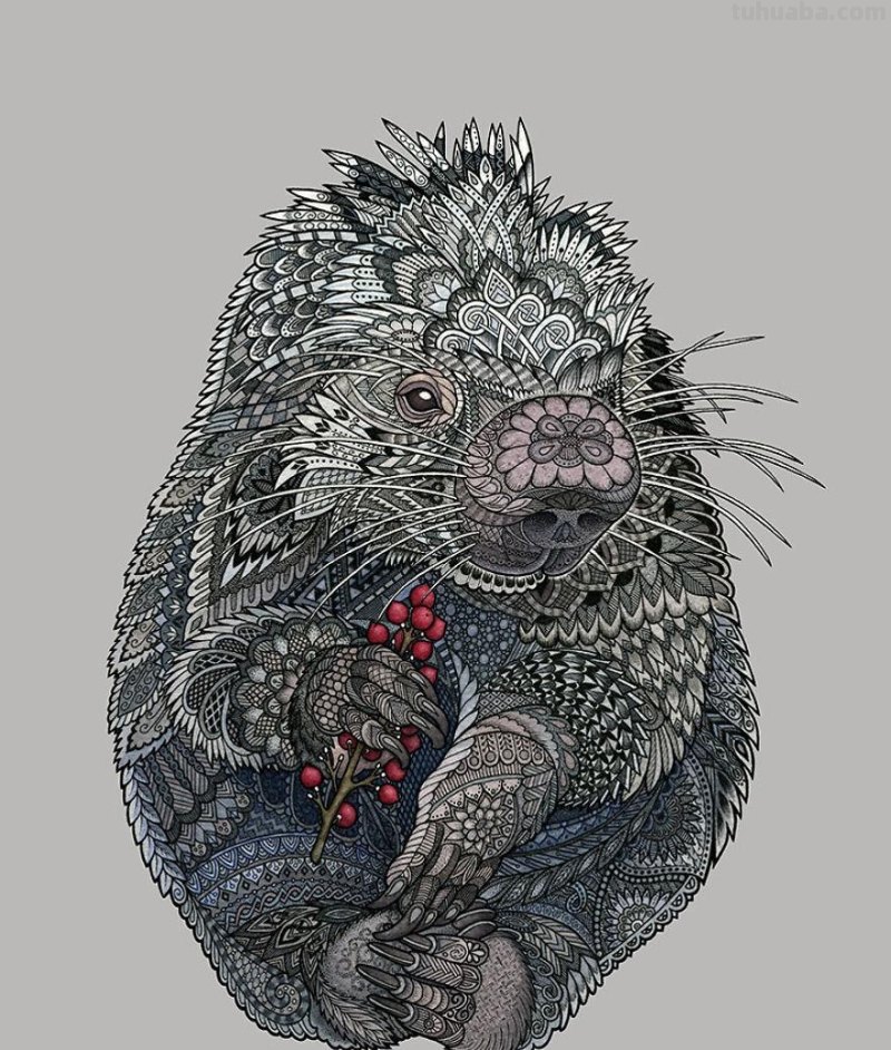 繁复美丽的几何图案，与水彩动物插画结合，神秘又精致的插画作品