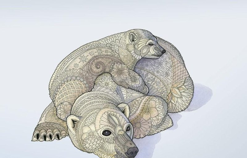 繁复美丽的几何图案，与水彩动物插画结合，神秘又精致的插画作品