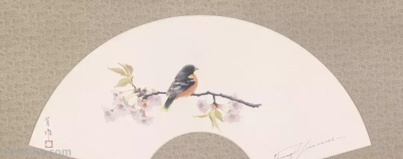 黄有维老师画的水彩动物，你见过吗？真的萌到了我的心里！