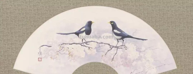 黄有维老师画的水彩动物，你见过吗？真的萌到了我的心里！