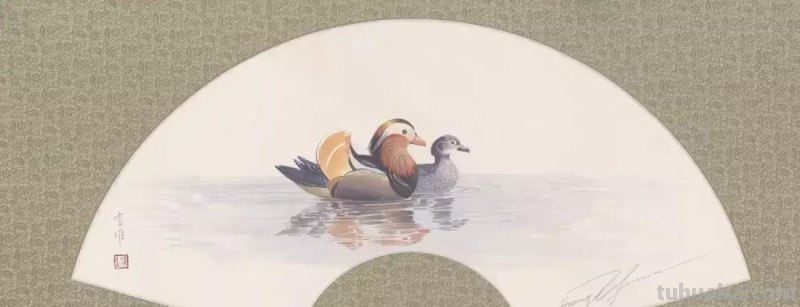黄有维老师画的水彩动物，你见过吗？真的萌到了我的心里！