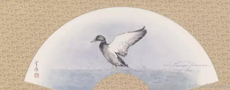 黄有维老师画的水彩动物，你见过吗？真的萌到了我的心里！