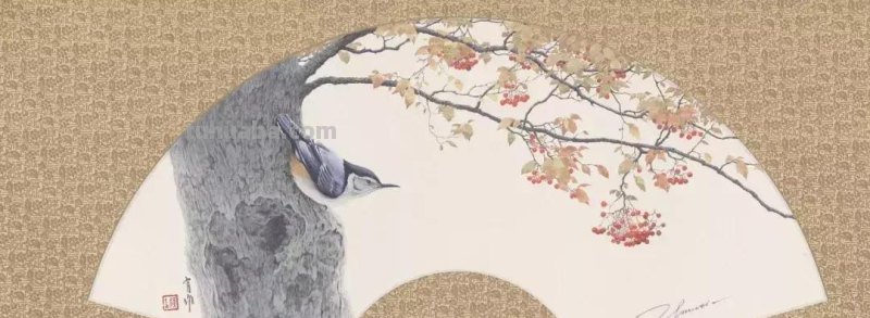 黄有维老师画的水彩动物，你见过吗？真的萌到了我的心里！