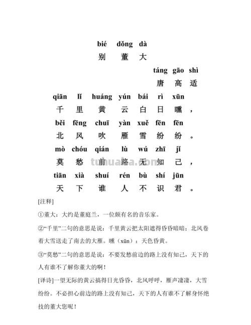 别董大的诗意 别董大的诗意和注释