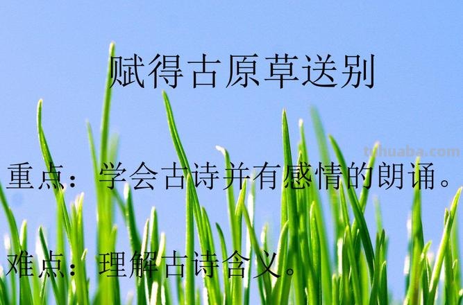 离离原上草全诗的诗名 赋得古原草送别