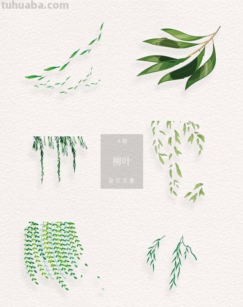 用彩铅怎么画柳叶 画柳叶简单方法?