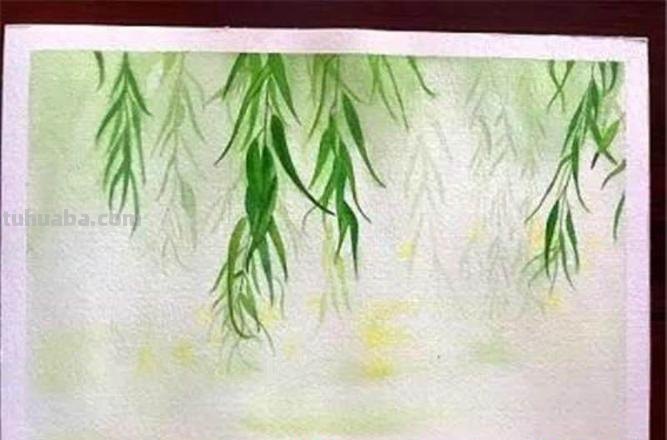 用彩铅怎么画柳叶 画柳叶简单方法?