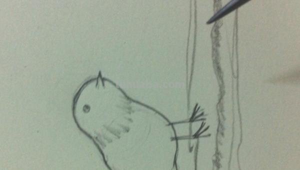 怎么彩铅画火焰鸟 三年级画火焰鸟简单又漂亮? 怎么彩铅画火焰鸟 三年级画火焰鸟简单又漂亮?