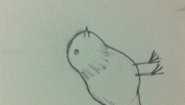 怎么彩铅画火焰鸟 三年级画火焰鸟简单又漂亮? 怎么彩铅画火焰鸟 三年级画火焰鸟简单又漂亮?