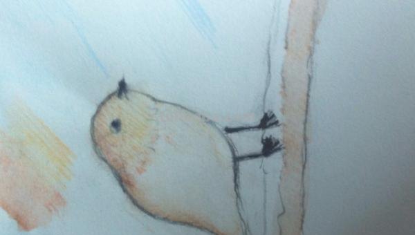 怎么彩铅画火焰鸟 三年级画火焰鸟简单又漂亮? 怎么彩铅画火焰鸟 三年级画火焰鸟简单又漂亮?