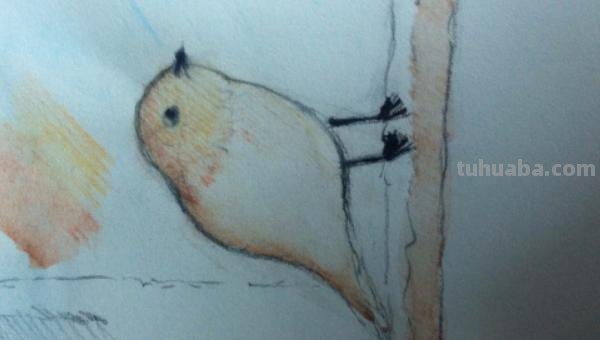 怎么彩铅画火焰鸟 三年级画火焰鸟简单又漂亮? 怎么彩铅画火焰鸟 三年级画火焰鸟简单又漂亮?