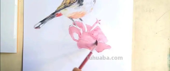 怎么彩铅画火焰鸟 三年级画火焰鸟简单又漂亮? 怎么彩铅画火焰鸟 三年级画火焰鸟简单又漂亮?