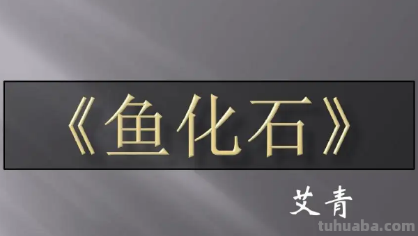 鱼化石表达了作者怎样的思想感情