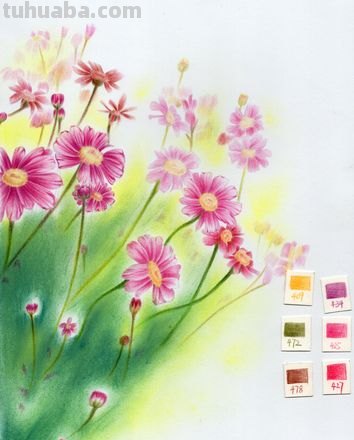 彩铅的花草怎么画 怎么用彩铅画超简单的花海？