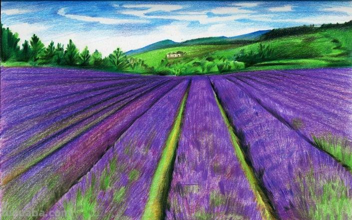 彩铅的花草怎么画 怎么用彩铅画超简单的花海？